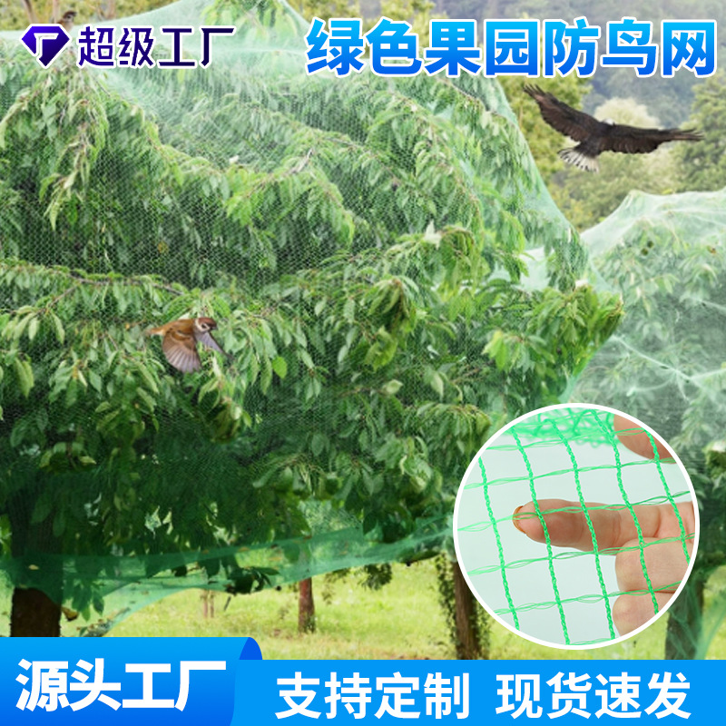 防鸟网PE聚乙烯农用抗老化果园大棚养殖用网园林绿色防护拦鸟网罩