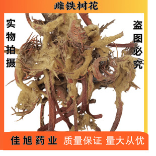 ���] �F�仨 �Pβ�� ���F�仨 ���F�仨 ���� �F��� ����ă�