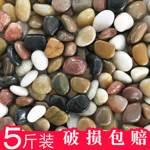 2.5kg Pebble Courtyard Paving Garden Balcony Decoration Multicolored Rain Flower Stone Raw Stone Pebble Paving Factory Wholesale