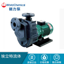 日本 World Chemical 世界化工磁力泵 化工泵 进口磁力泵 YD-GS