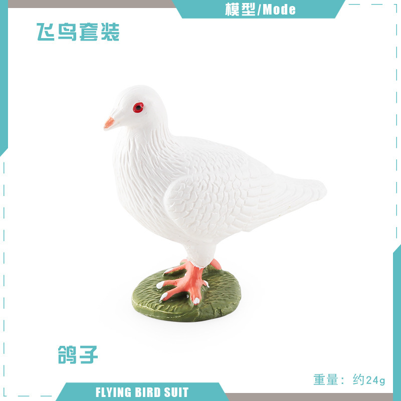 PL127-2775 palomas 24g