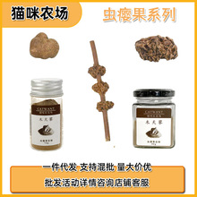 ��10��2��؈�����r��؈���ľ��ޤ���x�`�������w�����X�澏��w