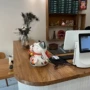 一字原木地板门板
