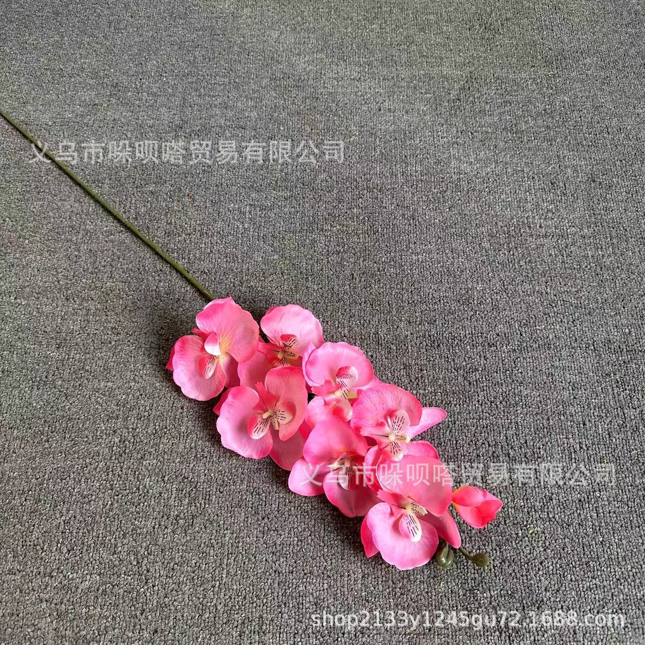 8 실크 호접란-로즈 레드