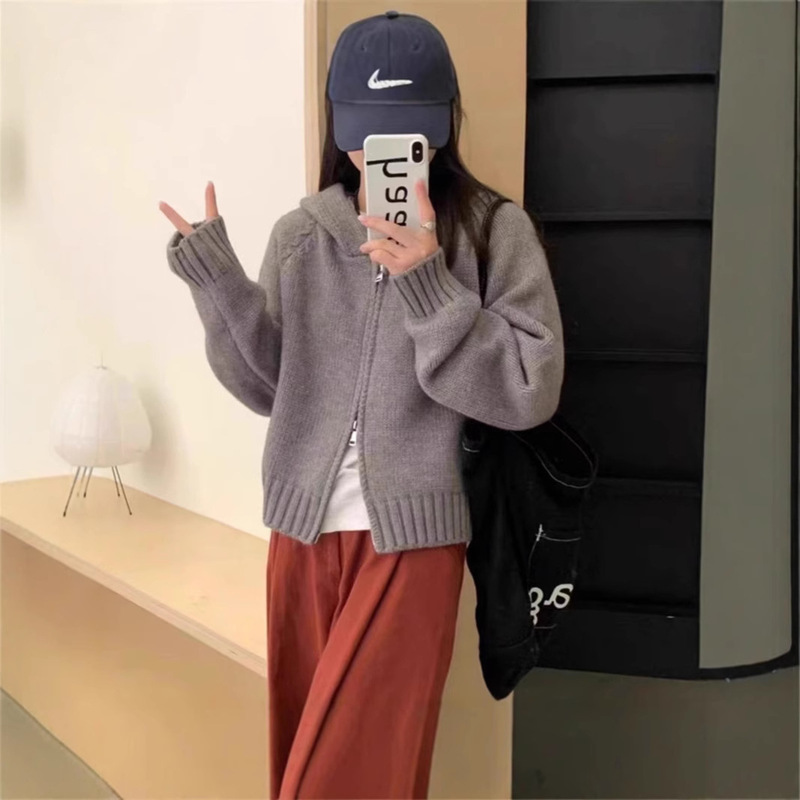 韩系慵懒风连帽针织开衫女秋冬新款宽松高级感双拉链加厚毛衣外套|undefined