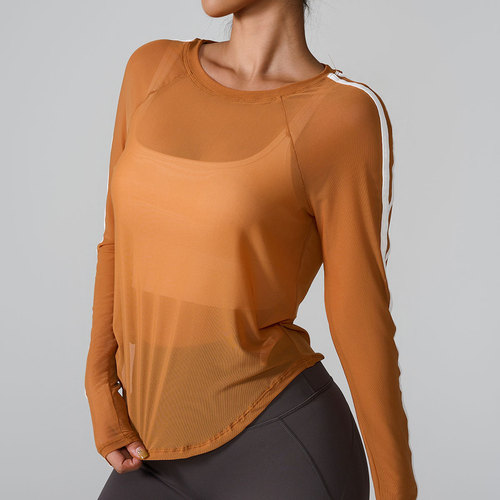 Amazon 2024 Cross-border New Sport Tank Top Striped Net Fabric Quick-drying Long Sleeve Slim Fit Breathable Fitness Tank Top for Women