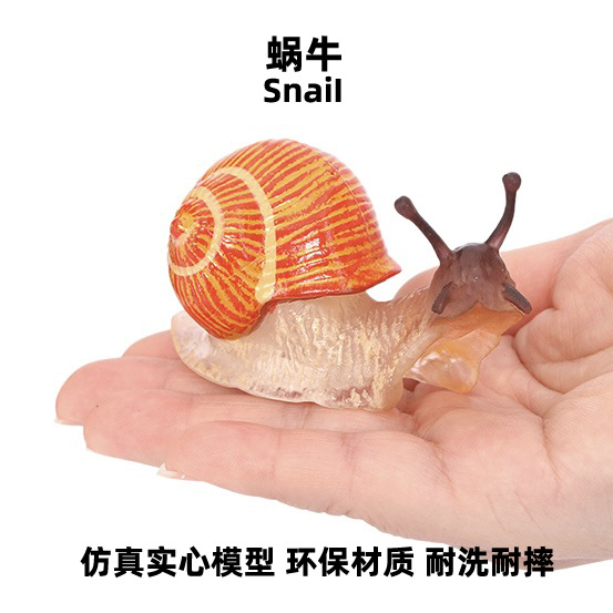 Children's cognitive realistic snails