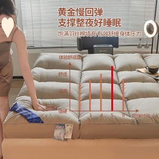 Five-Star Hotel Mattress Feather Velvet Tatami Foldable Thickened Soft Mattress Mattress Bottom Mattress Anti-Mite