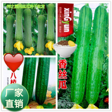 l̨ͥԮ߲˷NӽzzϷNӴb߲10˹Ϲˈ@