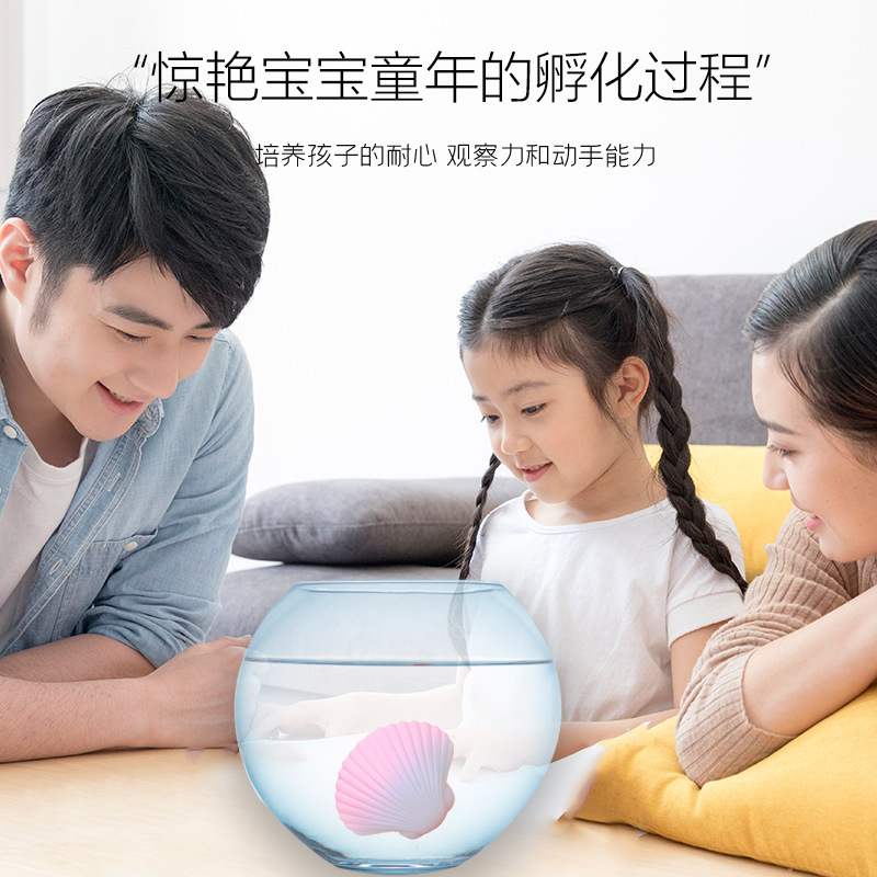 Hatching egg toy soaked in water, mermaid, scallop for girls and children, expands and becomes larger, shell that can hatch marine animals