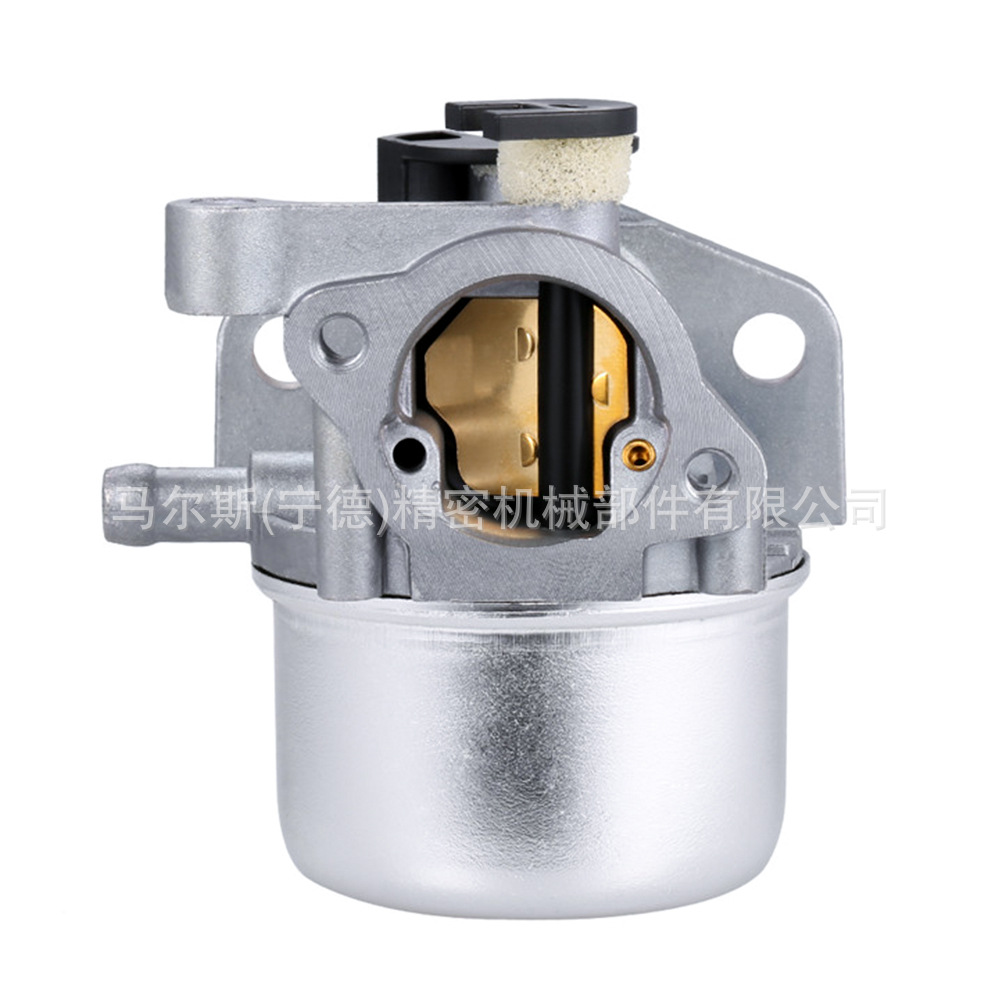 799871 Carburetor for Bs 790845 126m02 799866 796707 Carburetor