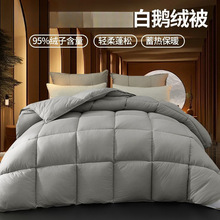 羽绒被95白鹅绒被子加厚保暖冬被芯春秋被单人学生宿舍一件包邮