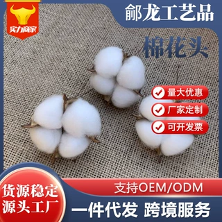 厂家批发棉花头干花棉花仿真插艺家居饰品室内装饰品永生花棉花