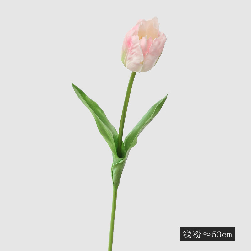 라이트 핑크