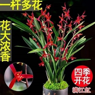 �m���绨�ڎ�����ī�m���m�����~�m���������҃Ȼ������ԾGֲ���B