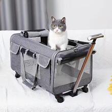T 13872 Foldable Pet Carrier with Wheels ���۵������� ר