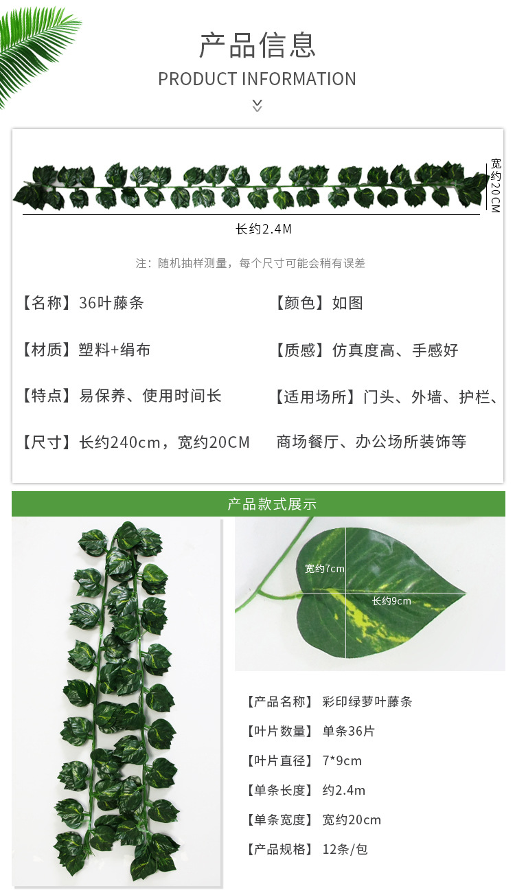 36叶藤条_09.jpg