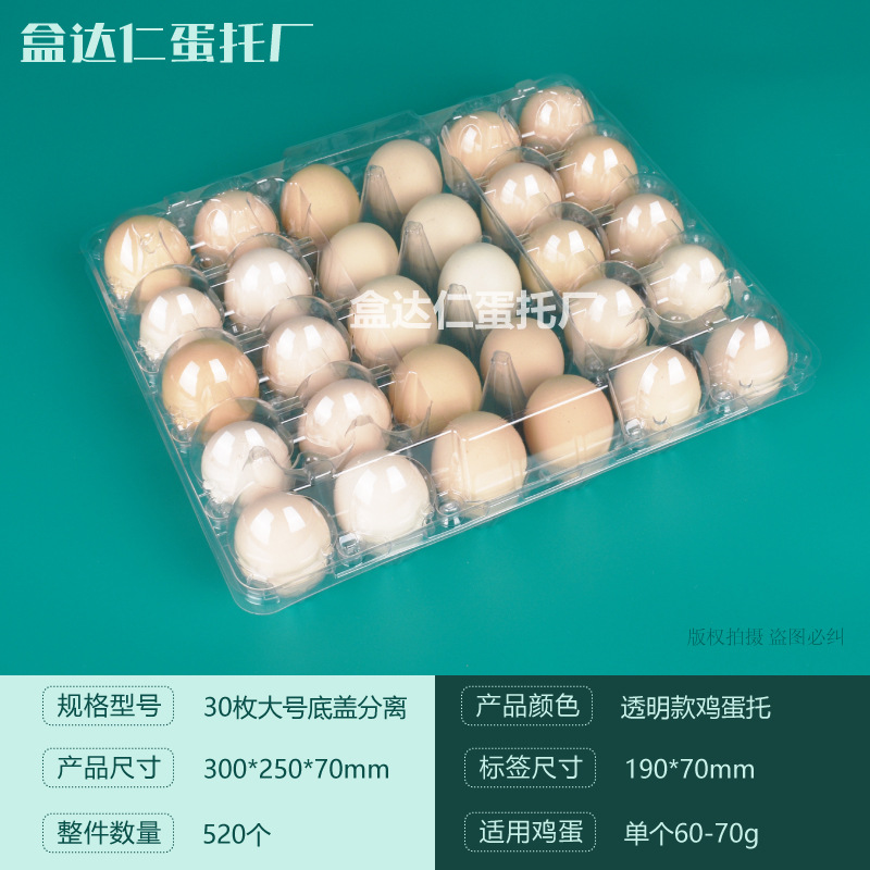 Titular de huevo de plástico desechable con hebilla con tapa a prueba de golpes transparente Tierra huevo caja de embalaje supermercado ventas directas de la fábrica