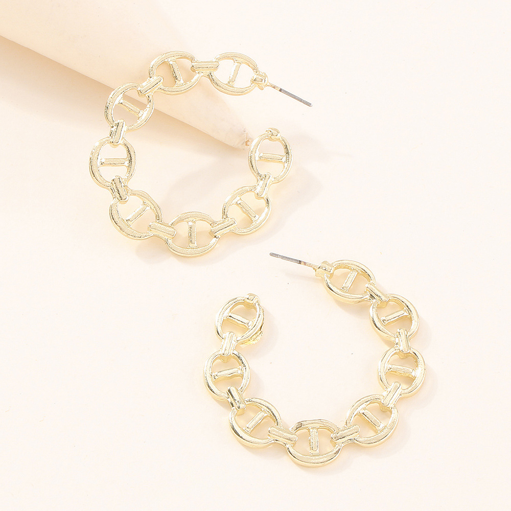 Simple Fashion Chain Exaggerated Geometric Earrings display picture 6