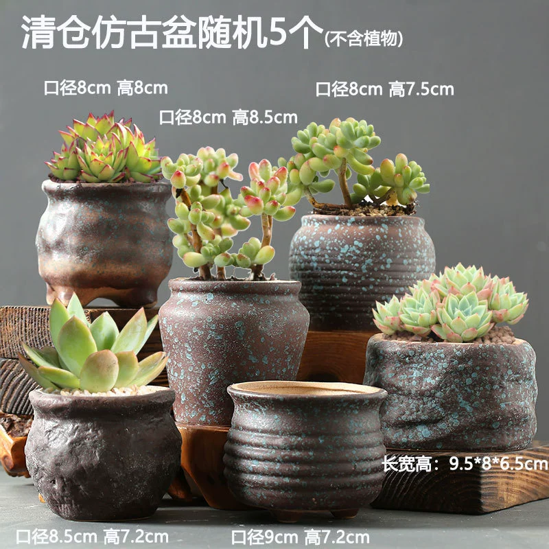 Creative Ceramic Flower Pot, Handmade Factory Direct, Assorted Decorative Designs, Small 7–10 cm
