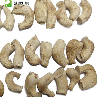 �������{�p�����㹽�_ ���ȥ�ٹ��� �u�S������ø�؛�a��ֱ��