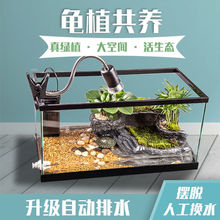 乌龟缸带晒台别墅生态龟缸养龟的专用免换水鱼缸水陆玻璃缸亚马逊