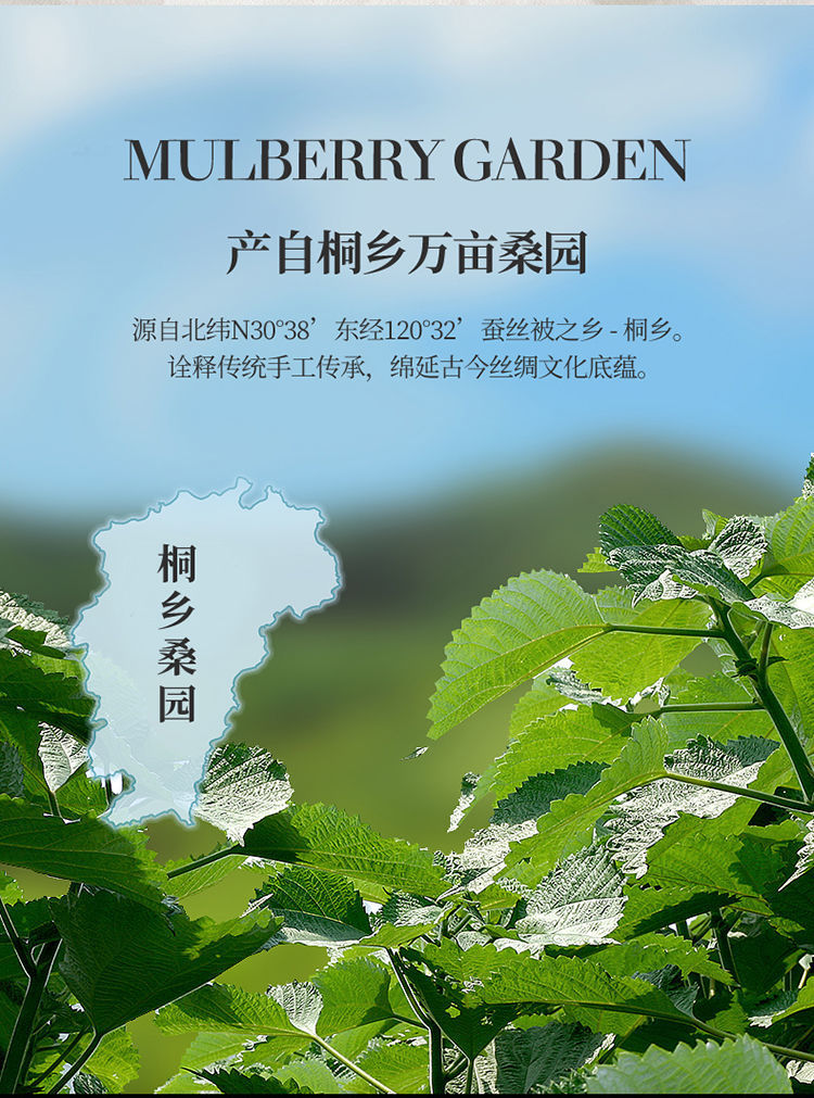 e794e67b-592f-412a-b054-2b25e4e2c536.jpe