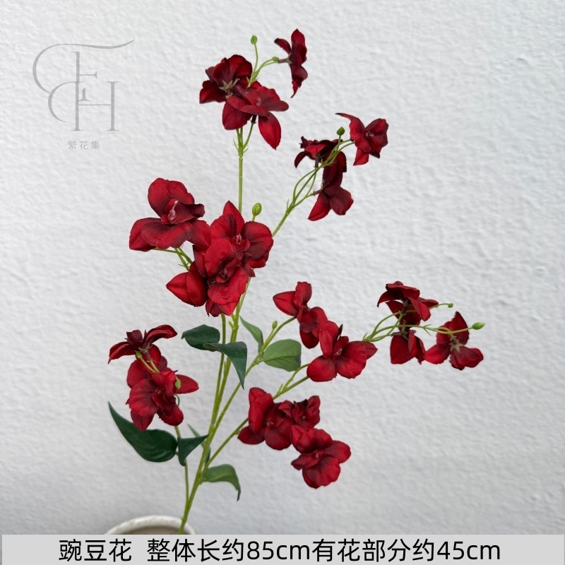Flores de guisante