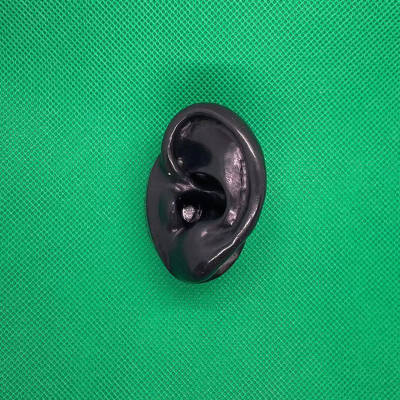 Falso modelo de oído de silicona suave simulación de oído humano espárrago del auricular accesorios médicos enseñanza pantalla ventas directas de la fábrica