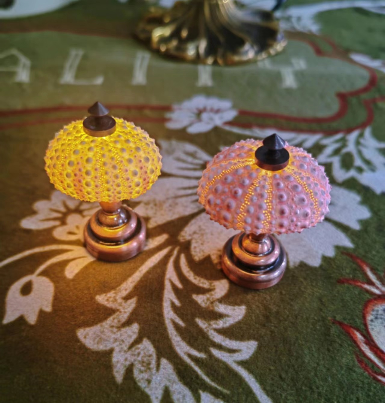 핑크 작은 성게 [램프없이 5-6cm]