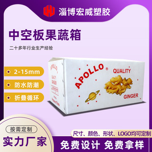 Hollow Board Fruit and Vegetable Box Pp Hollow Board Carton Fruit Turnover Box Plastic Packaging Box Color Printed Hollow Board Box