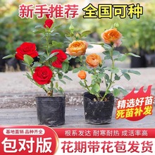 �¼�����õ��С���ļ��_���̨���Ի���ͥԺ���پGֲ����ٱ��Nޱ