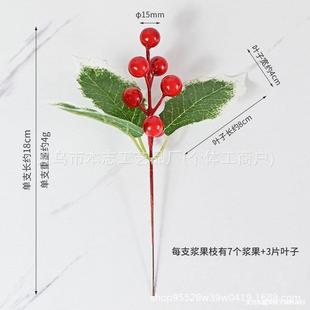 �}�Q�羳؛Դ��֦��ᘻ�֦������c�����b���ֲ��t���{����֦