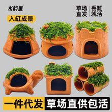 �~��Ī˹�չ�ˮ���쾰��ֲ���~�r��ܹ��r��С�[��С�~��ֳ�����