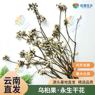 ������ɻ�DIY�}�Q���b��}�Q���ղ��û������lС�׹�С������