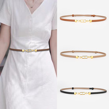 连衣裙腰带女装饰高级感修身免打孔潮流时尚个性真皮装饰皮带配裙