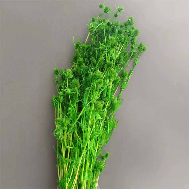 다크 그린 [약 100]