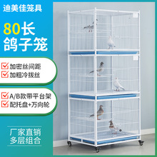 鸽子笼加粗加密防黄鼠狼老鼠公棚配对笼信鸽赛鸽笼观察笼繁育鸽笼