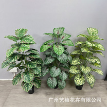 ��������˽�ɢβ�����ԾGֲ�������l�r�Gֲ�Ҿӿ͏d�b����