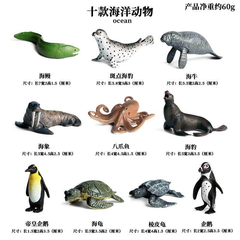 Cognitive realistic marine animal model, dinosaur, toy