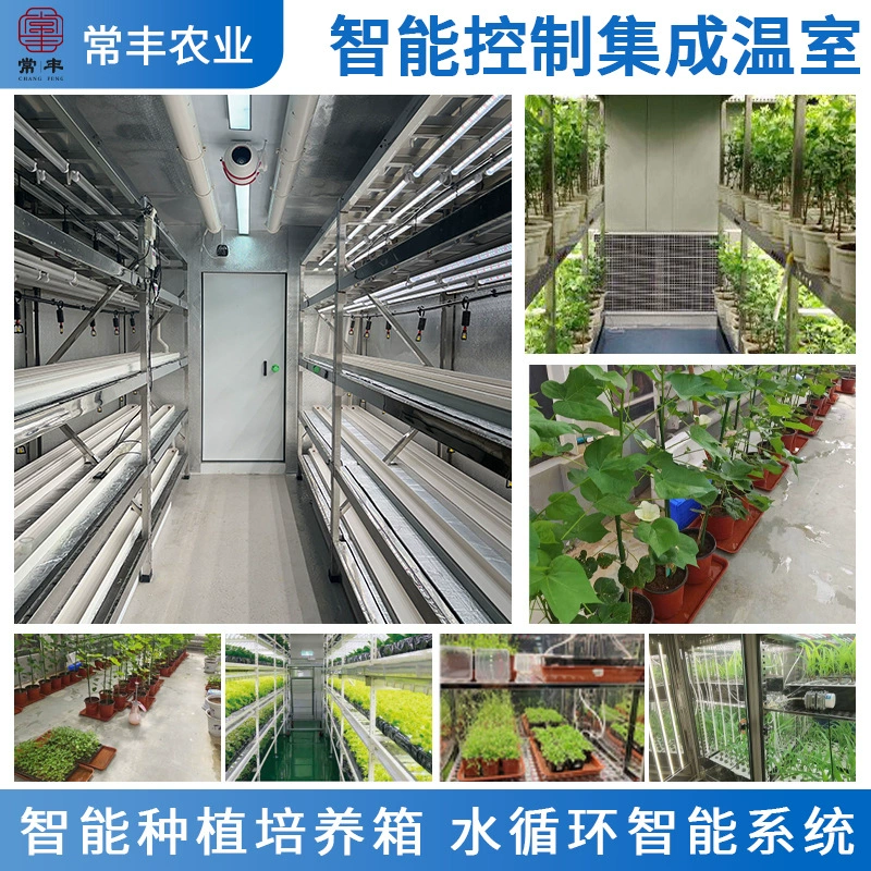 Экспериментальный интеллектуальный контроль Интегрированное тепличное экологическое исследование Сельскохозяйственное выращивание цветов