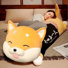 ��Ȯ����ë�q��߹���ż������Ů��ſſ��˯�X�����L�l�����նY��