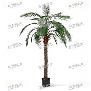 Artificial Phoenix Palm / Artificial Coconut Tree ᘿ�/Ҭ��