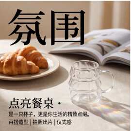 玻璃咖啡杯高硼硅耐高温牛奶早餐杯茶水杯家用圣诞高硼硅玻璃杯