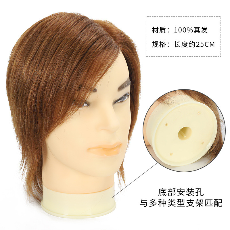 頭の形の美髪の男性のモデルの頭はパーマをかけることができます。|undefined