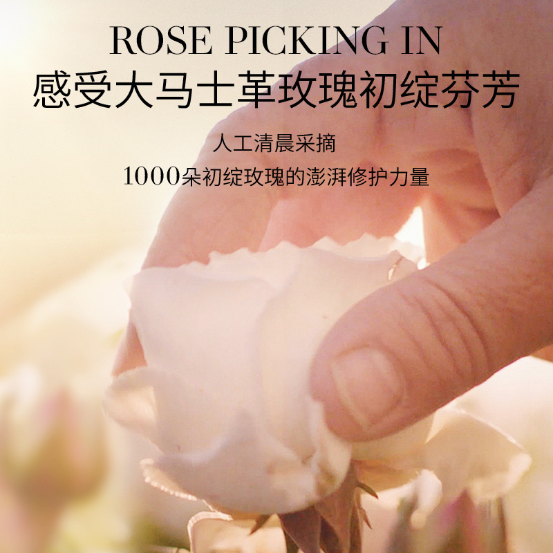 纯博士白玫瑰鲜萃精油花露滋润保湿深层补水白玫瑰爽肤水精油正品|undefined
