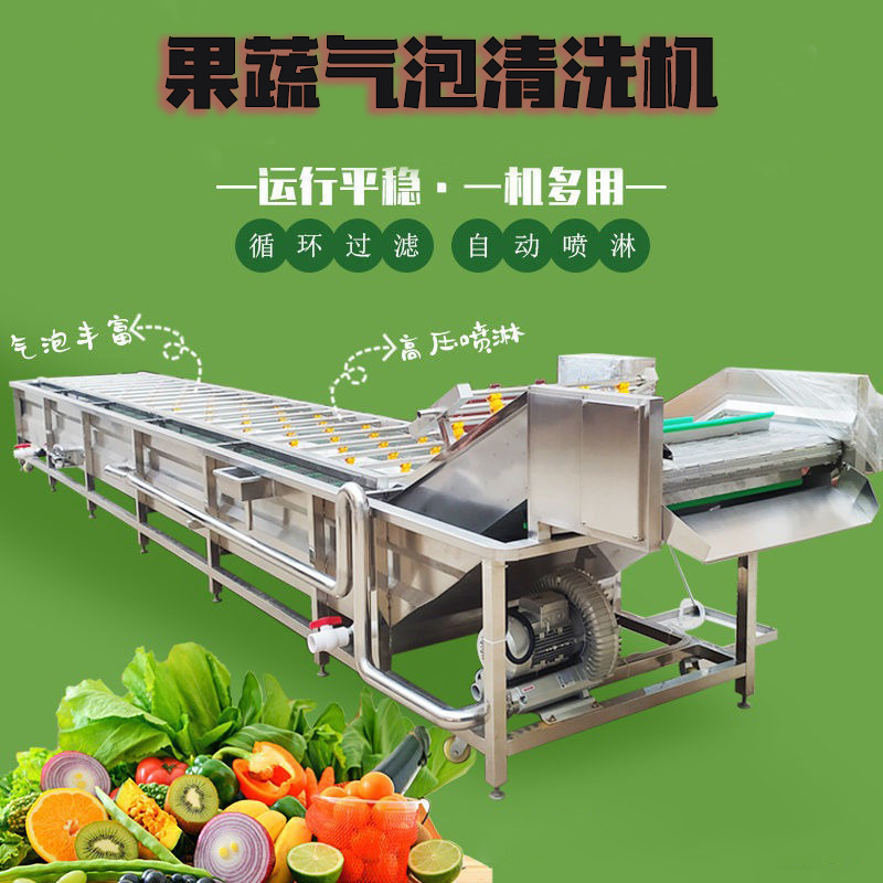 大型气泡清洗机果蔬菜瓜果净菜加工设备酱菜臭氧洗菜机高压去农残
