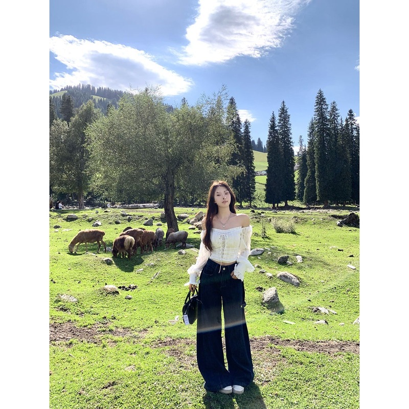 蝴蝶暗纹刺绣花边白衬衫女早秋独特气质上衣|undefined
