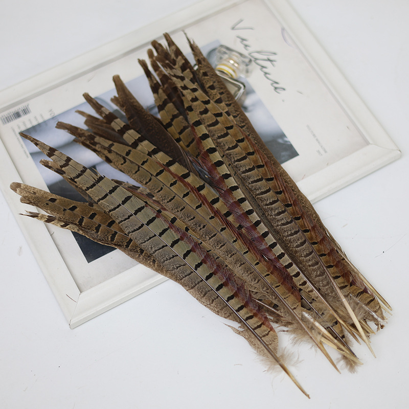 Mayorista 15 - 100cm plumas de cola de pollo de montaña, plumas de gato, plumas de gallo de montaña, plumas de gallo de Beijing, plumas de gallo salvaje