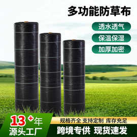 跨境新型黑色pp防草布农用果园果树透水抗老化除草布pe防草地膜布